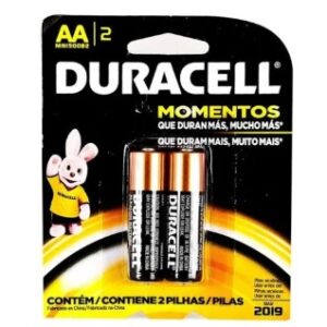 Pilha Duracell Alcalina Pq Aa C/02
